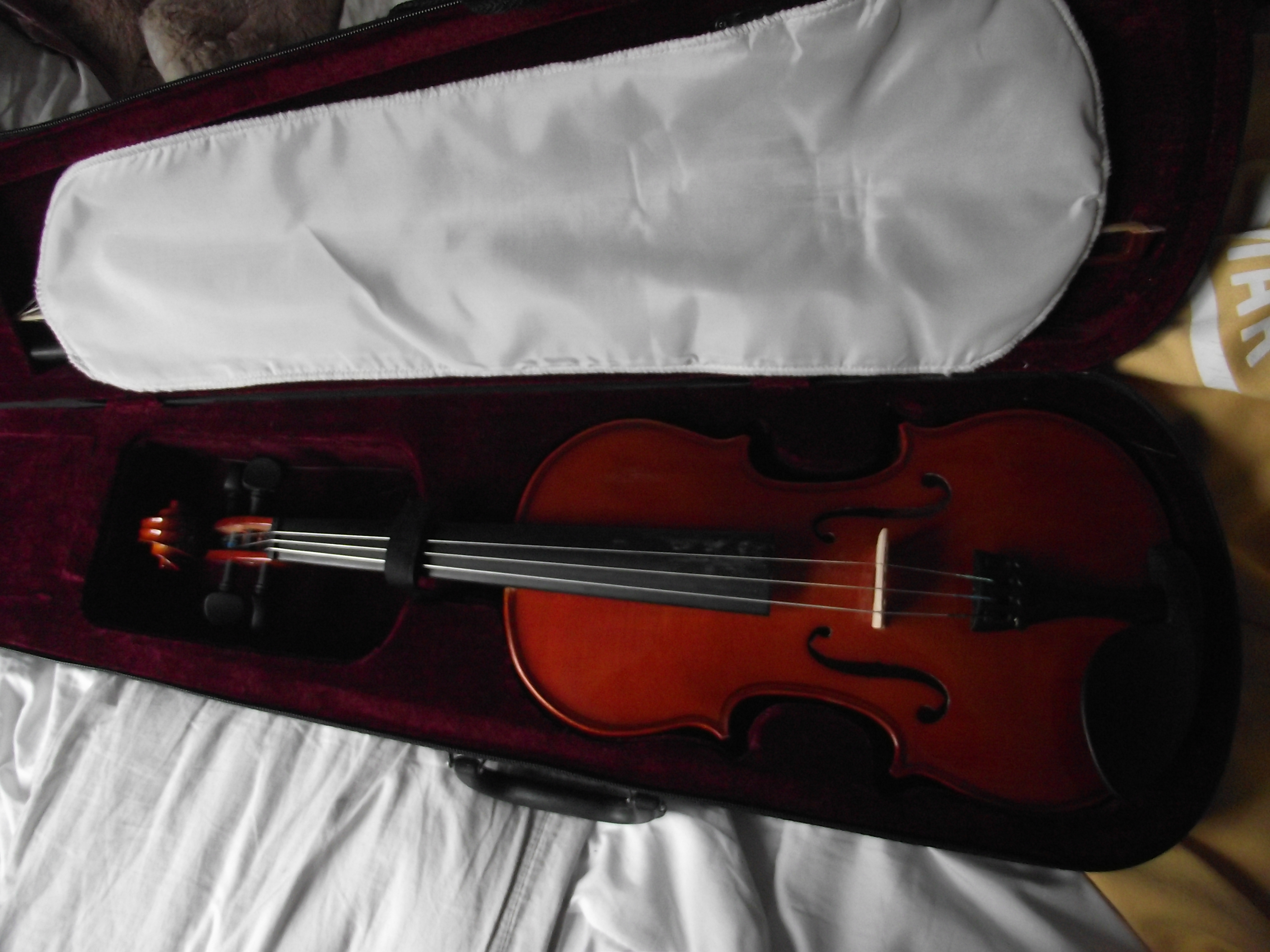 Violin